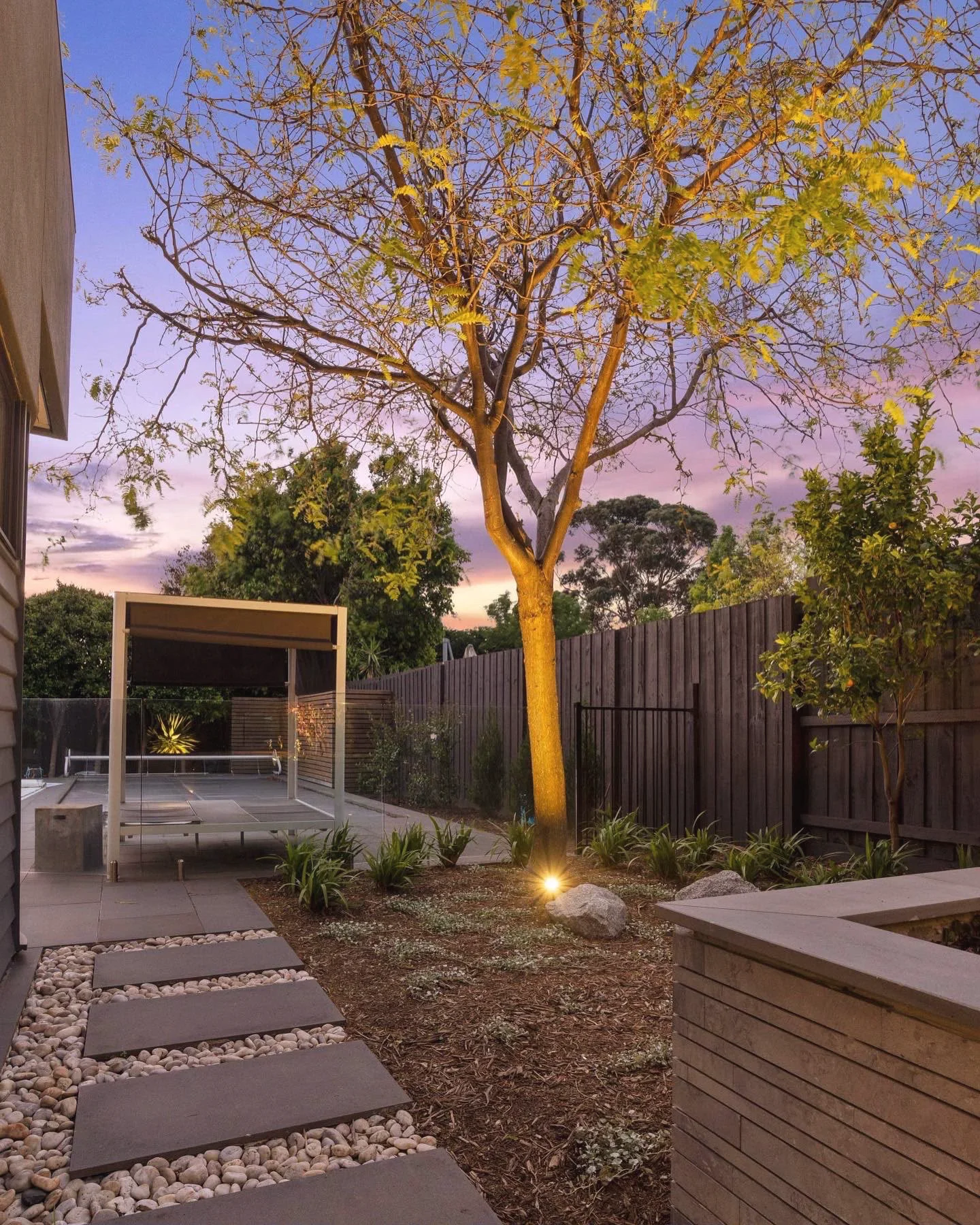Uplit tree, stepping stones and garden beds at dusk