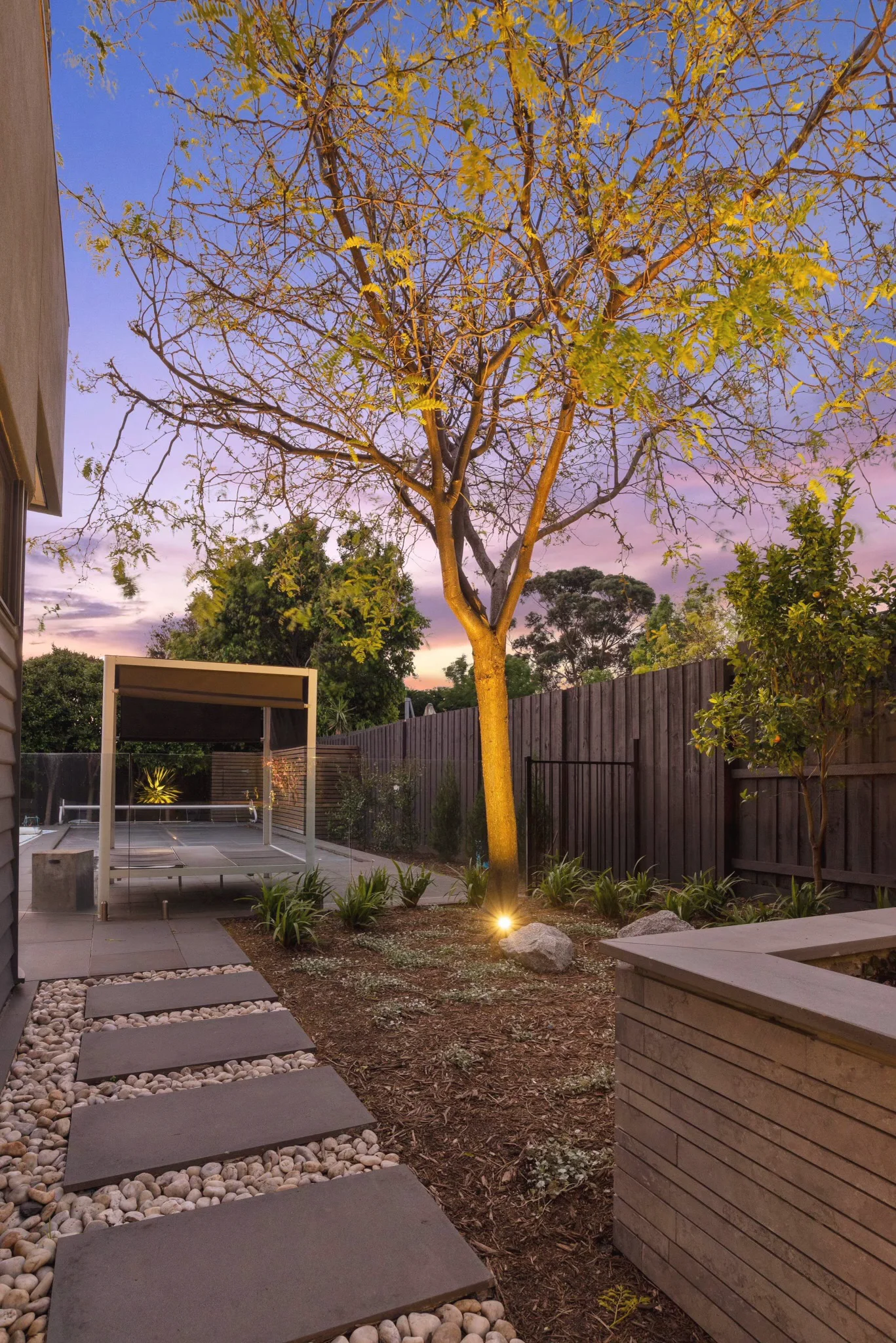 Uplit tree and a path light beside stepping stones in a gravel garden at dusk
