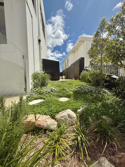 Side garden of groundcover, boulders, stepping stones and young trees between two homes
