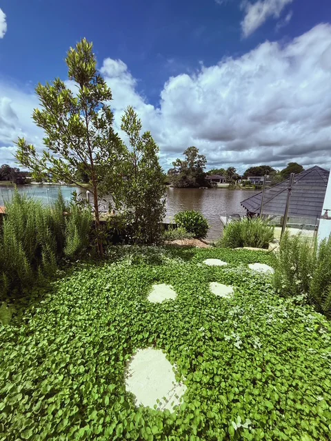Stepping stones through groundcover, rosemary and young trees above the water