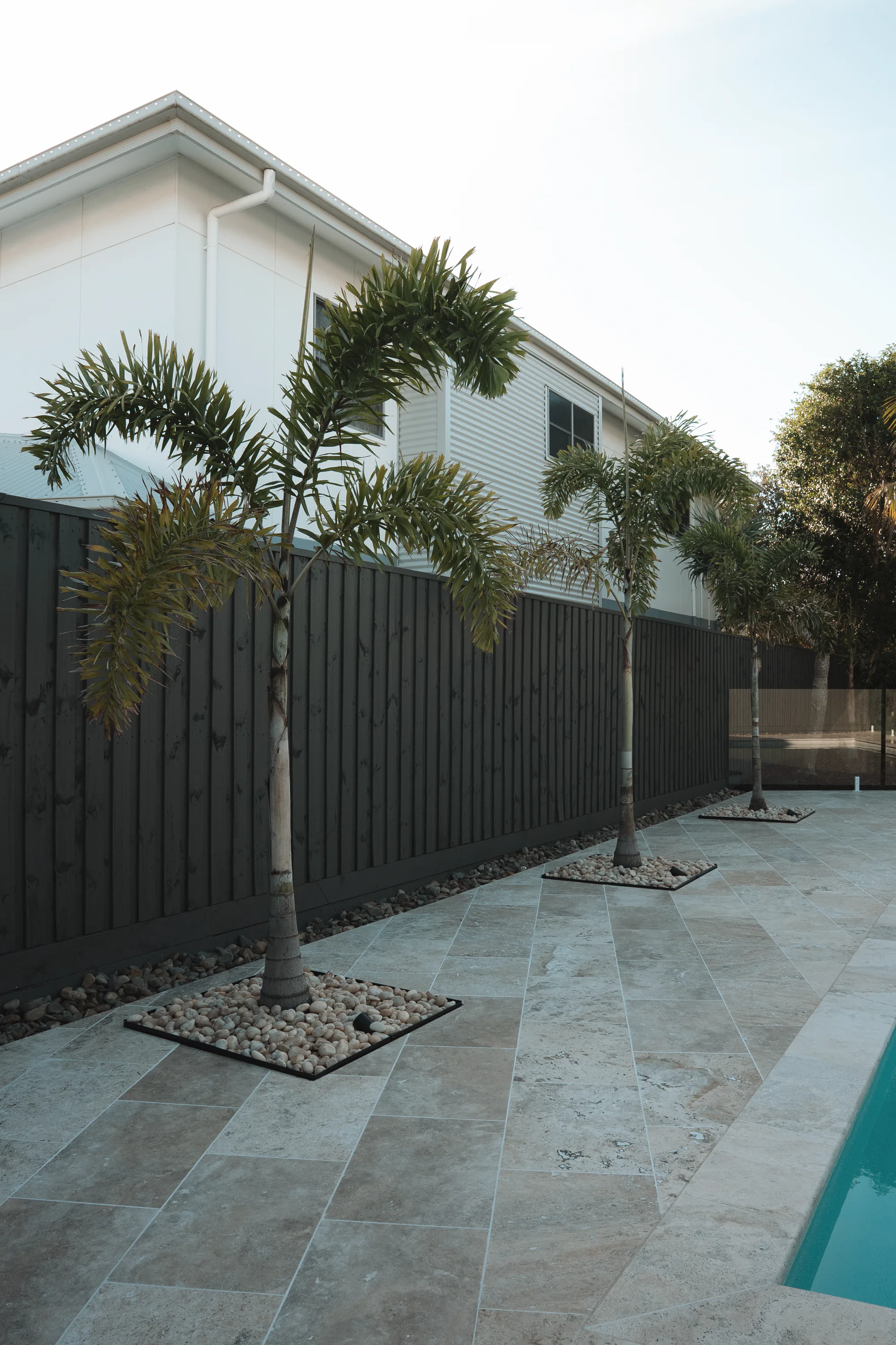 Travertine pool surround with three palms in black-edged pebble beds along a dark timber fence